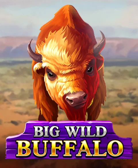 Play Big Wild Buffalo at Virtual City Casino